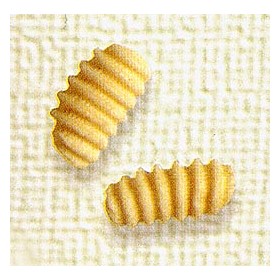 FUSILLI DI GRANO SENATORE CAPPELLI KG.1